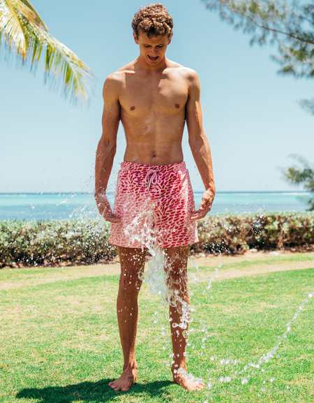 Painters Art <br> Purple pink