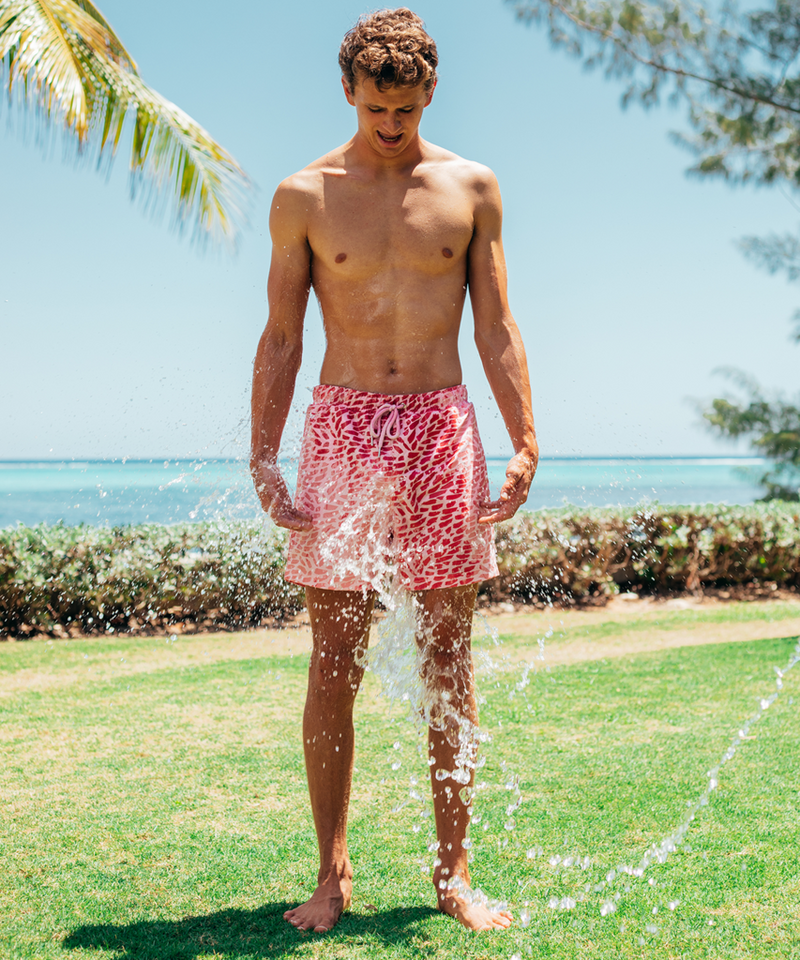 Painters Art <br> Purple pink